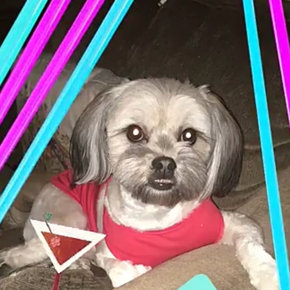 Meet your Posher, Ana